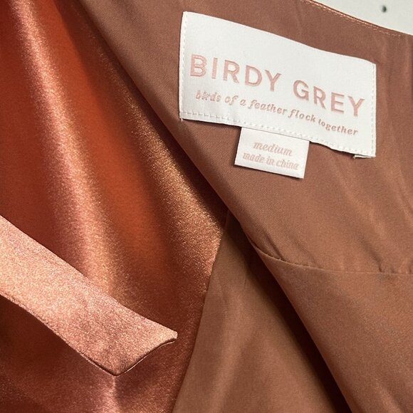 Birdy Grey Monica Size Medium Shiny Satin Terracotta Bridesmaids Maxi Dress NWT - Picture 11 of 12